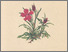 [thumbnail of 11730_1.png]