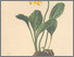 [thumbnail of 11898_1.png]