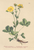 [thumbnail of 11793_1.png]