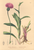 [thumbnail of 11906_1.png]
