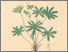 [thumbnail of 11799_1.png]