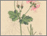 [thumbnail of 11760_1.png]