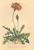 [thumbnail of 11924_1.png]