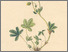 [thumbnail of 11791_1.png]