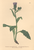 [thumbnail of 11910_1.png]