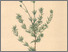 [thumbnail of 11752_1.png]