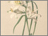 [thumbnail of 12345_1.png]