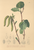[thumbnail of 12325_1.png]