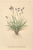 [thumbnail of 12366_1.png]