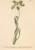 [thumbnail of 11849_1.png]