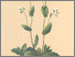 [thumbnail of 11683_1.png]