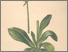 [thumbnail of 11818_1.png]