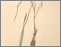 [thumbnail of 12349_1.png]