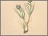 [thumbnail of 11941_1.png]