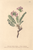 [thumbnail of 11773_1.png]