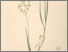 [thumbnail of 12370_1.png]