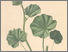 [thumbnail of 11689_1.png]