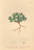 [thumbnail of 12280_1.png]