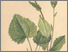 [thumbnail of 11895_1.png]