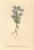 [thumbnail of 11945_1.png]
