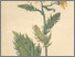 [thumbnail of 11903_1.png]