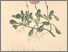[thumbnail of 12304_1.png]