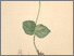 [thumbnail of 12338_1.png]