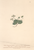 [thumbnail of 11698_1.png]