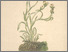 [thumbnail of 11879_1.png]