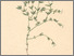 [thumbnail of 11753_1.png]