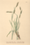 [thumbnail of 12367_1.png]