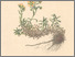 [thumbnail of 11831_1.png]