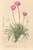[thumbnail of 12306_1.png]