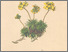 [thumbnail of 11699_1.png]