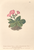[thumbnail of 12300_1.png]