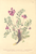 [thumbnail of 11776_1.png]