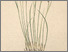 [thumbnail of 12355_1.png]