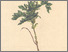 [thumbnail of 11771_1.png]