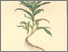 [thumbnail of 11975_1.png]