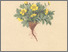 [thumbnail of 11795_1.png]