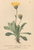 [thumbnail of 11934_1.png]
