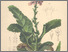 [thumbnail of 11997_1.png]