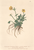 [thumbnail of 11674_1.png]
