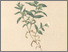[thumbnail of 11757_1.png]