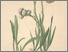 [thumbnail of 11880_1.png]