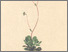 [thumbnail of 11825_1.png]