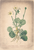 [thumbnail of 11666_1.png]