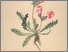 [thumbnail of 12005_1.png]