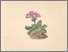[thumbnail of 12298_1.png]