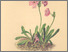 [thumbnail of 12293_1.png]